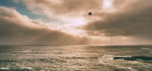 バーティカルメディア